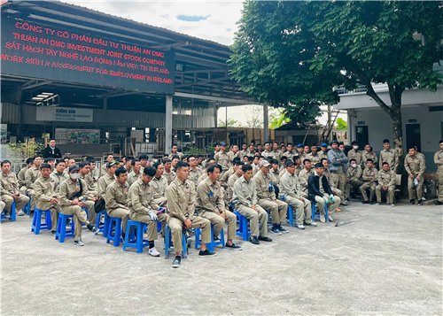 Thi Tuyển Đi Ai Len Ngày 15/12 Tại Hà Nội – Cơ Hội Làm Việc Châu Âu