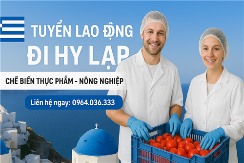 Xuất khẩu lao động Hy Lạp 2025: Điều kiện, chi phí, mức lương