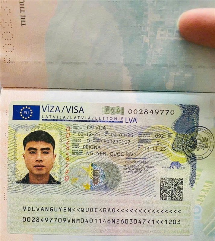 visa 6