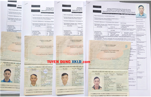 Lao động thời vụ Áo – Đơn hàng Nông nghiệp