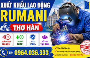 Lao Động Rumani 2026 – Cơ Hội Việc Làm Thu Nhập Cao