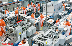 Đơn Hàng Litva Mới Nhất 2026 – Thi Tuyển Ngày 20/07, Thu Nhập Hấp Dẫn
