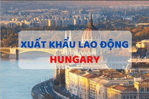 Xuất khẩu lao động Hungary tự do – Cơ hội đổi đời với thu nhập 2000 EURO/tháng